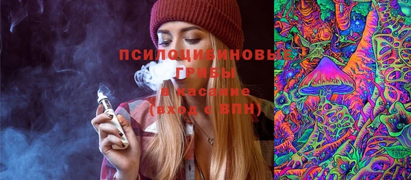 прущие крисы Богородицк