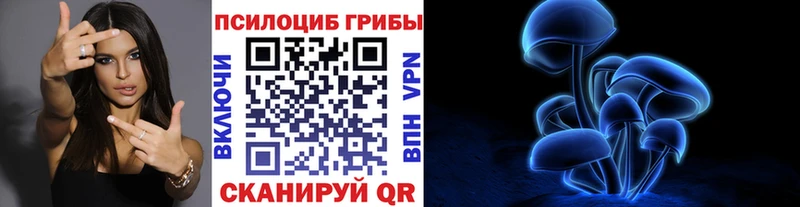 блэк спрут сайт  Гай  Псилоцибиновые грибы ЛСД 