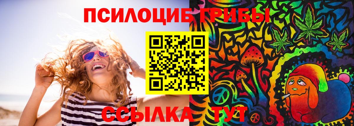 Псилоцибиновые грибы прущие грибы Гай