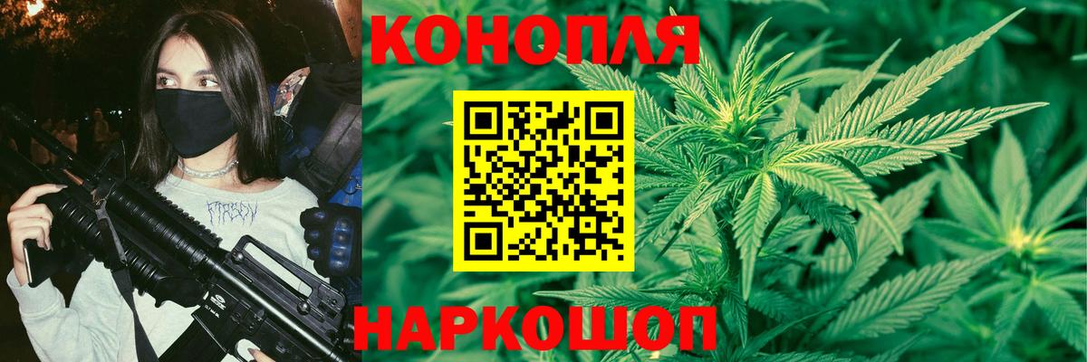 Канабис семена Гай